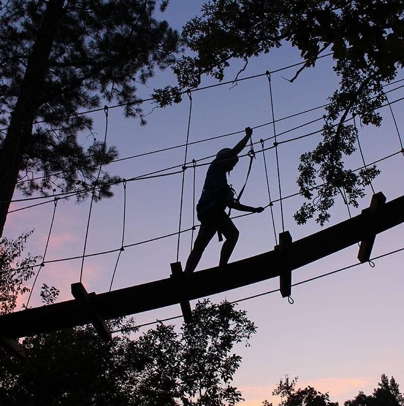 Silhouette of a person crossing a rope bridge at dusk, framed by tree branches against a purple sky