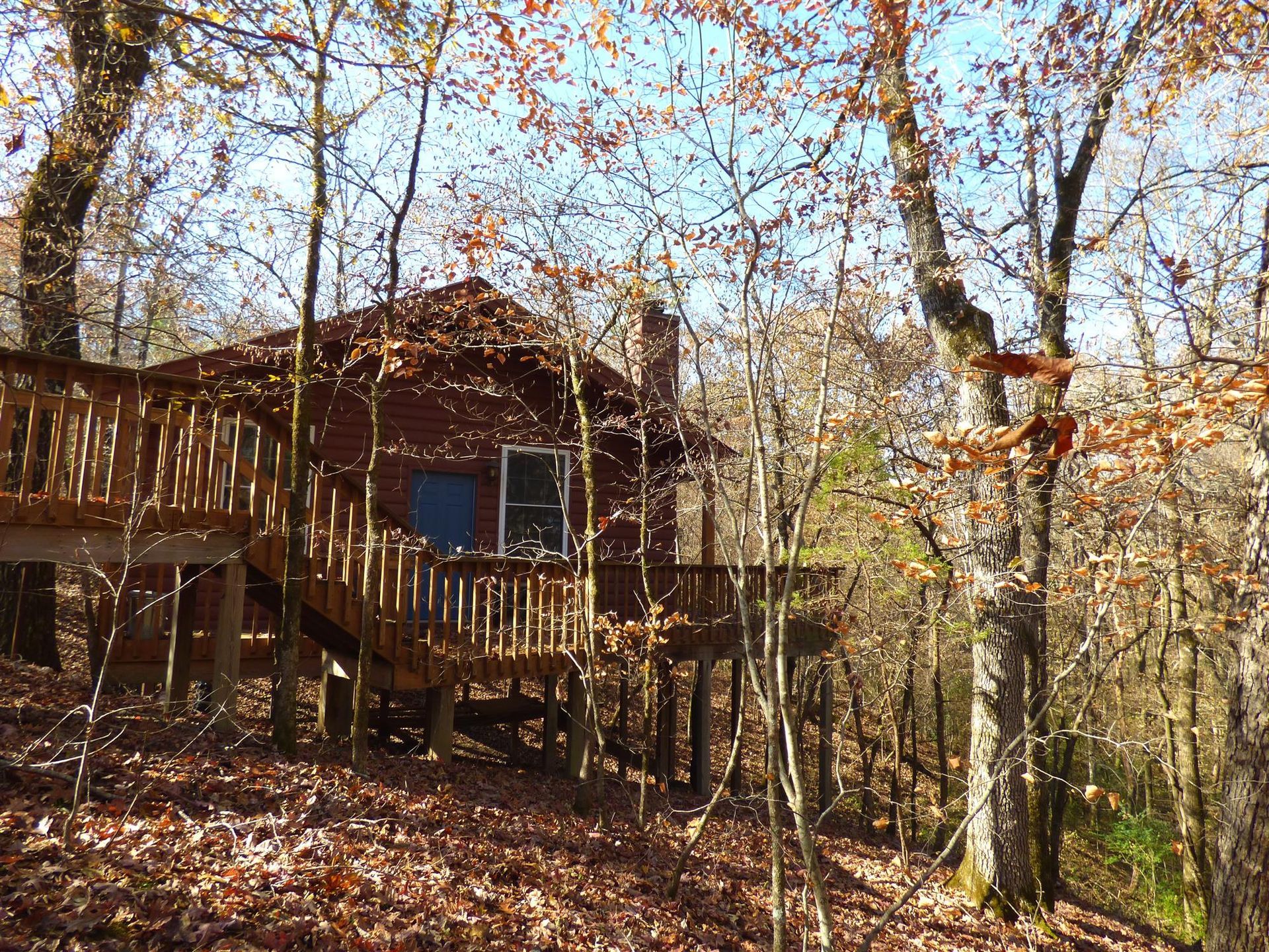 Wooden cabin on a wooded hillside with autumn leaves and bare trees