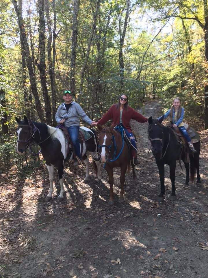Three saddled horses standing in a wooded trail