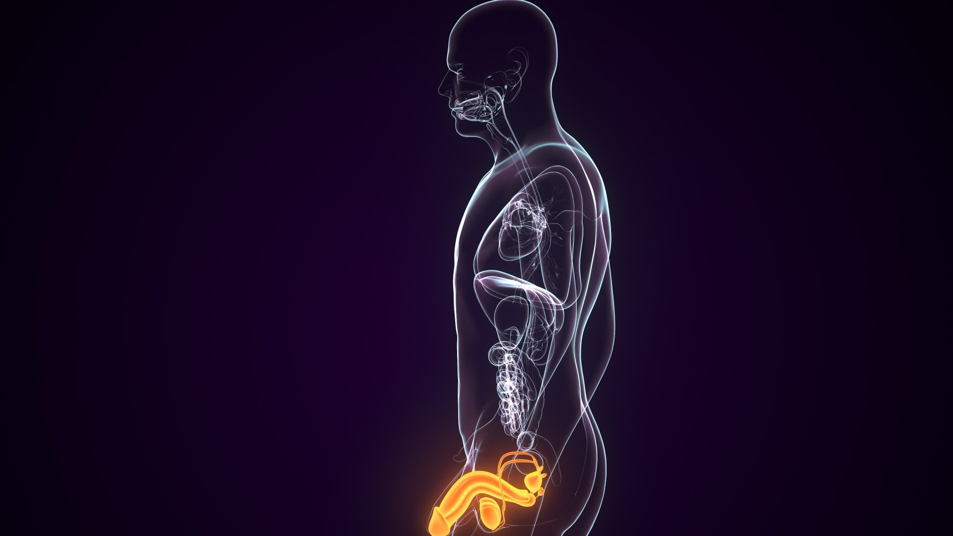 O que é frenuloplastia e onde fazer o procedimento com segurança