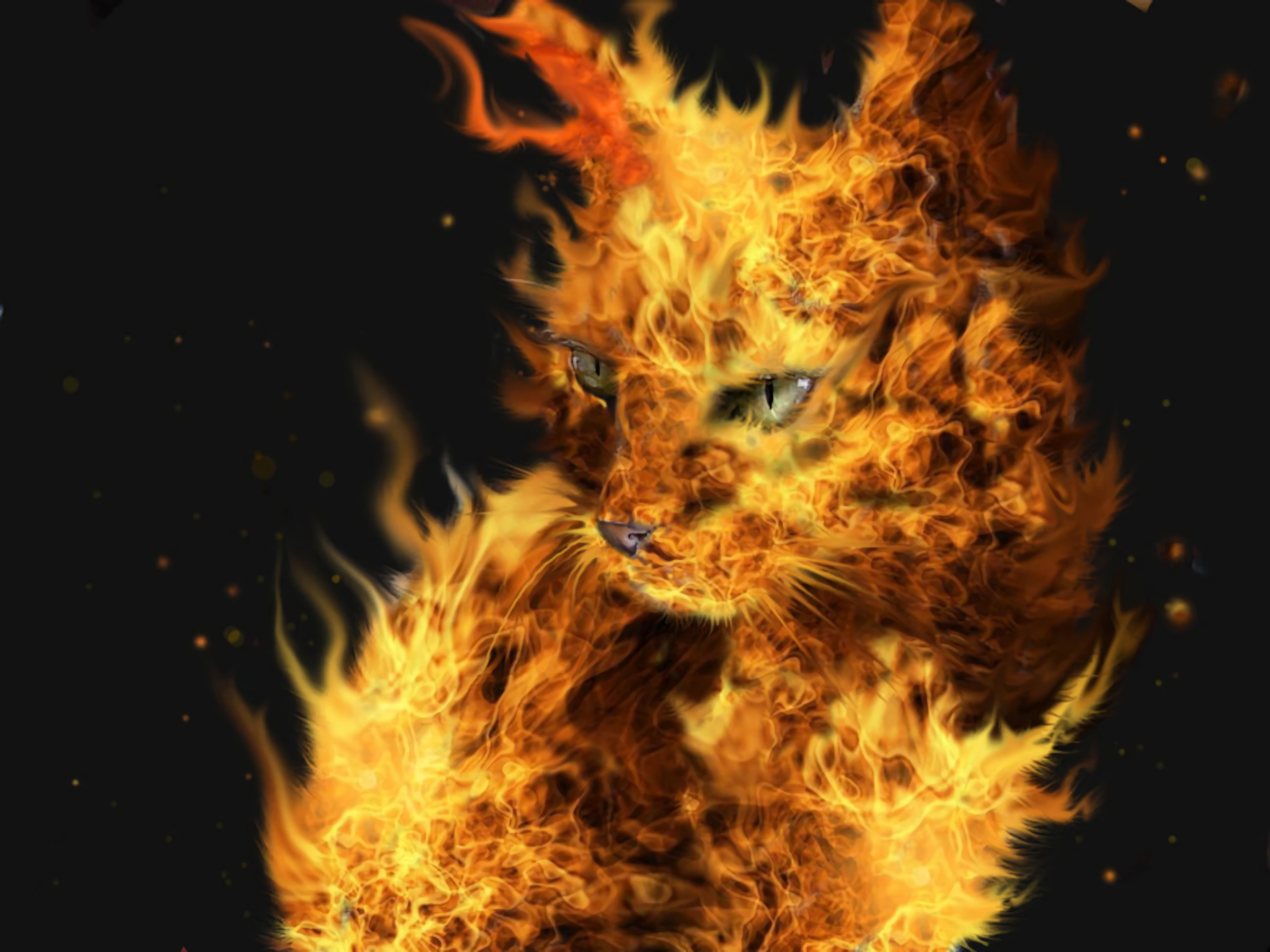 A fiery orange cat-like figure engulfed in flames against a black background