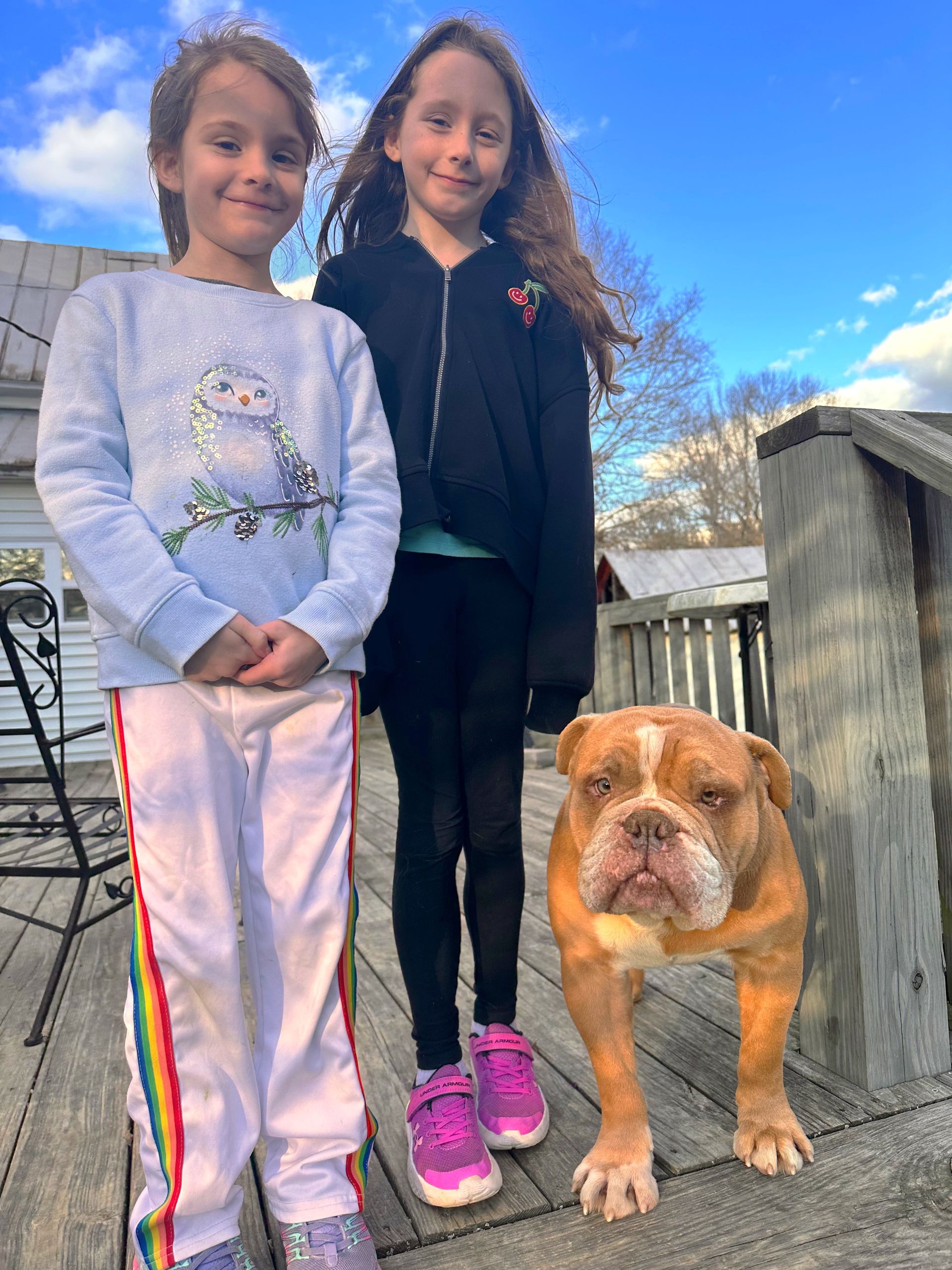 Two girls and a bulldog on a wooden deck; the dog is brown and the girls are smiling.