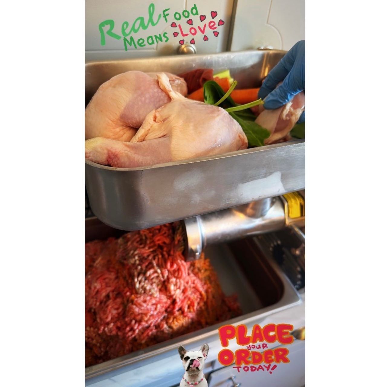 Raw dog food being ground: meat, vegetables, person in gloves. 