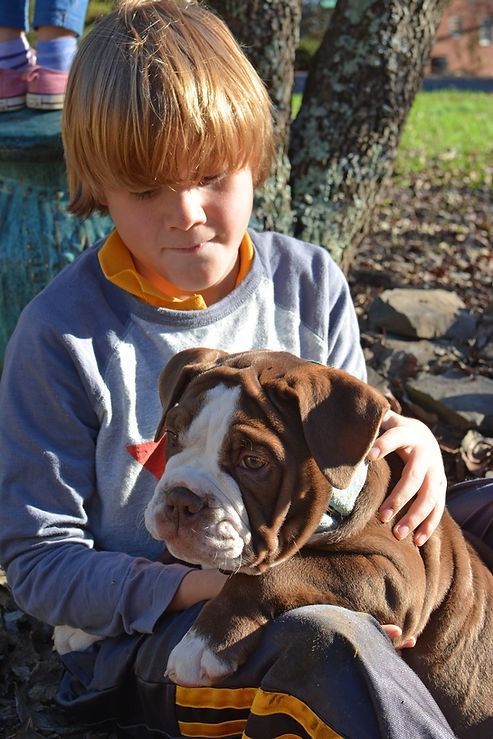 Boy with brown and white puppy. Boy is holding the dog in his lap.