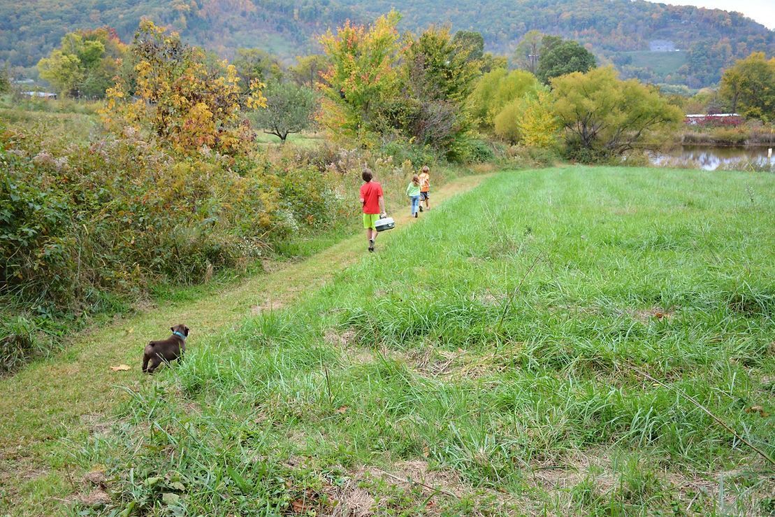 Dog on grassy path, three figures walk ahead; green field, trees, and distant hills.
