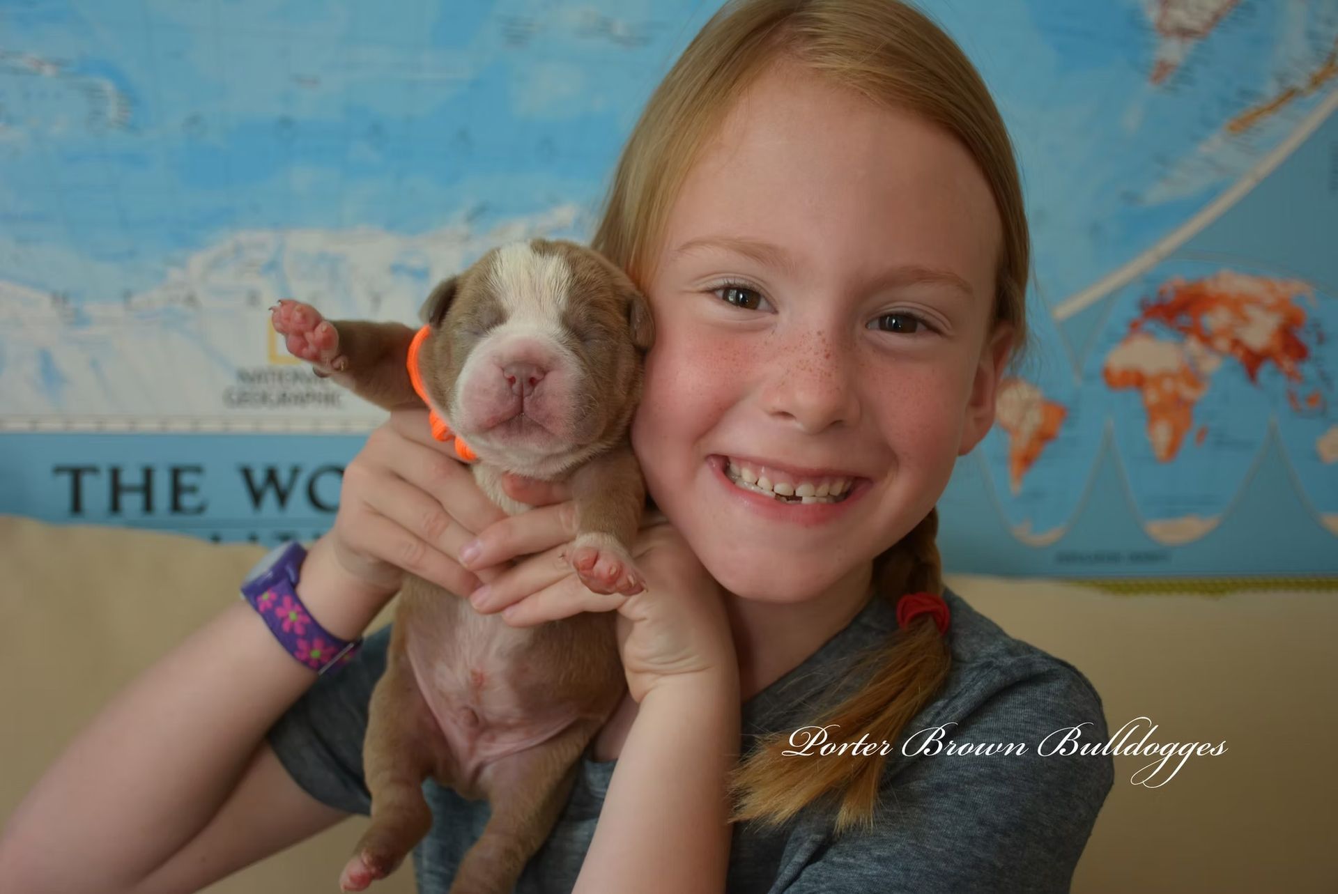Girl smiling, holding a small puppy with an orange collar; world map background.
