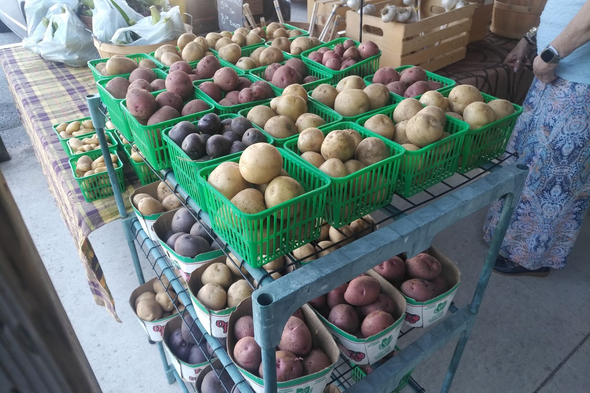 Flesherton Farmers' Market potatoes
