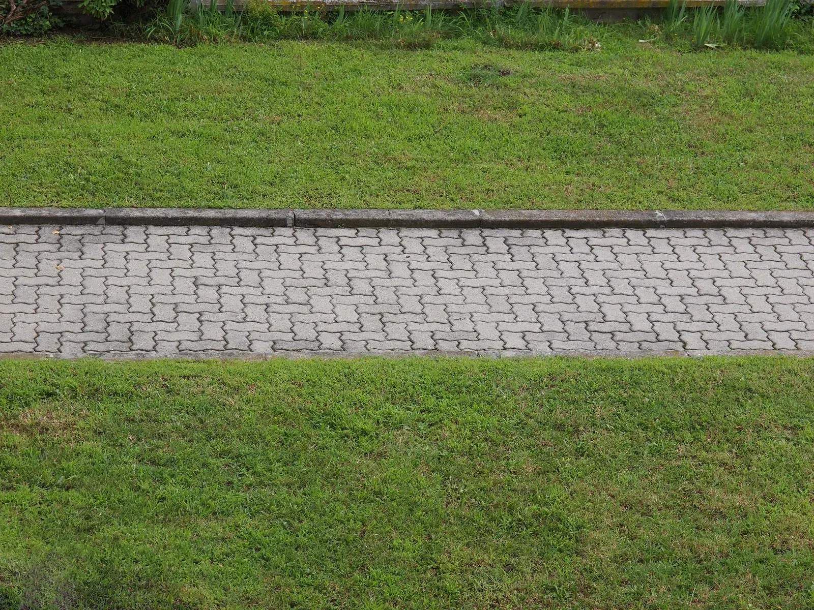 Gray brick path between green grassy strips outdoors