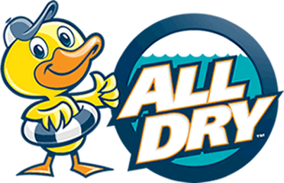 franchise opportunities