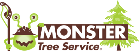 franchise opportunities
