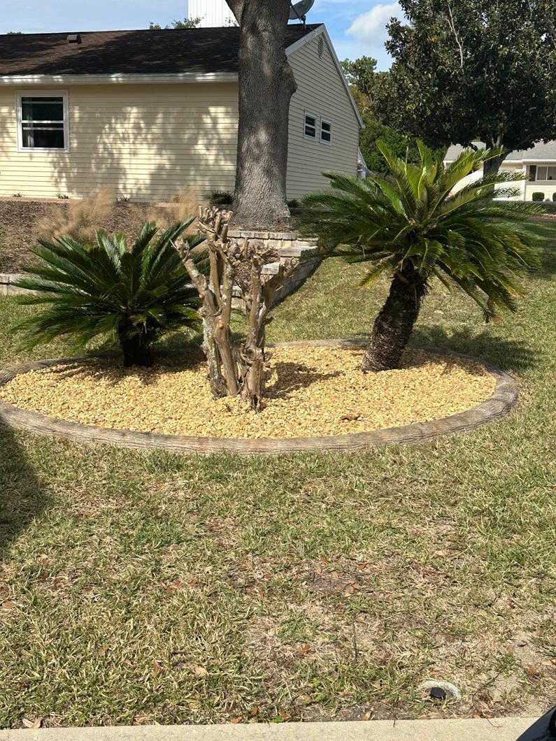 A tree with two small palm trees in a bed of tan pebbles in front of a tan building.