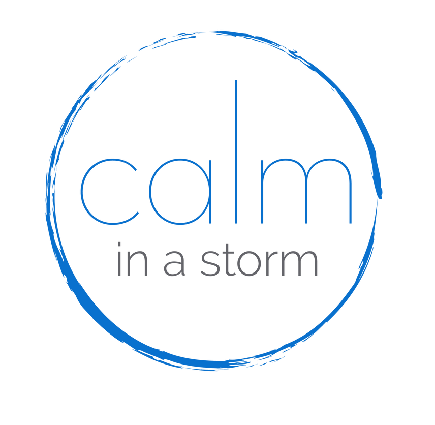 calm in a storm logo