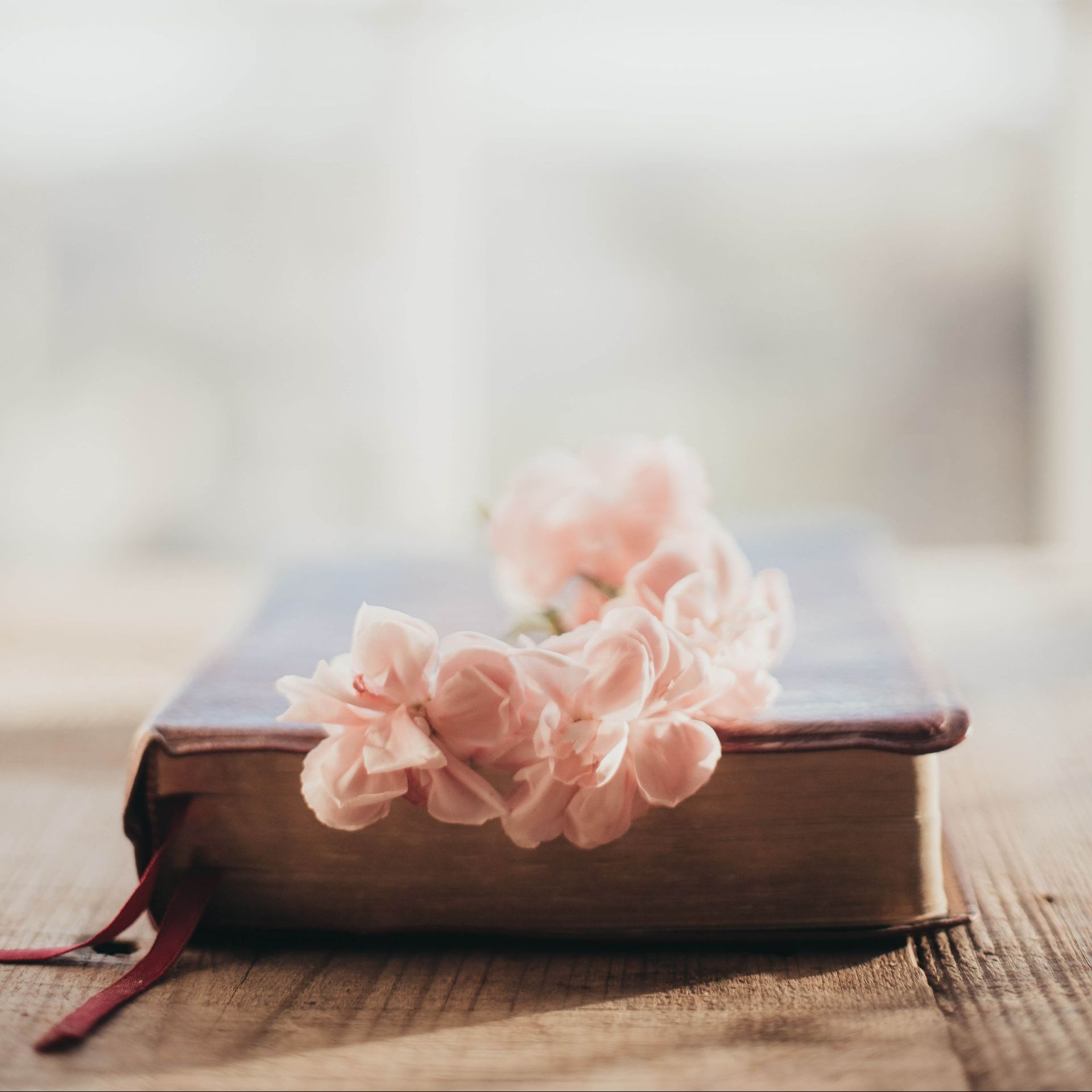 How to write a Eulogy