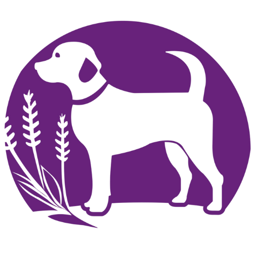 A white dog is standing next to a plant in a purple circle.