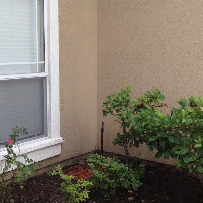 freshly cleaned front of stucco house