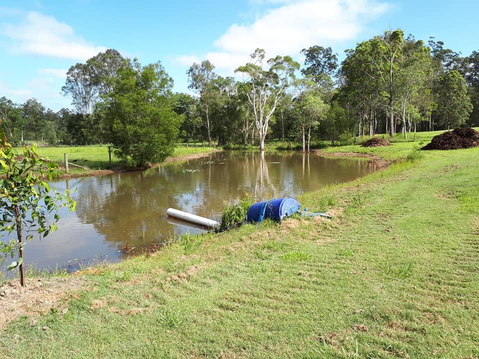 A Pond In A Grassy Field With Trees In The Background — Dams Cleaned in Brisbane, QLD