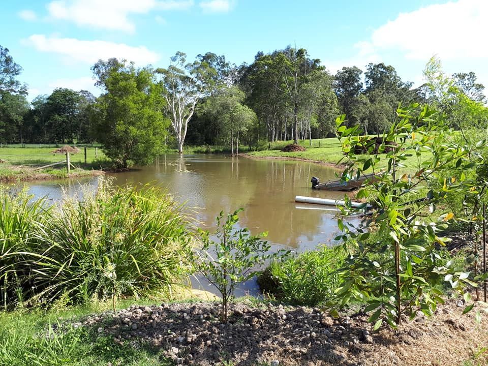 A Small Pond Surrounded By Trees And Grass In A Park — Dams Cleaned in Brisbane, QLD