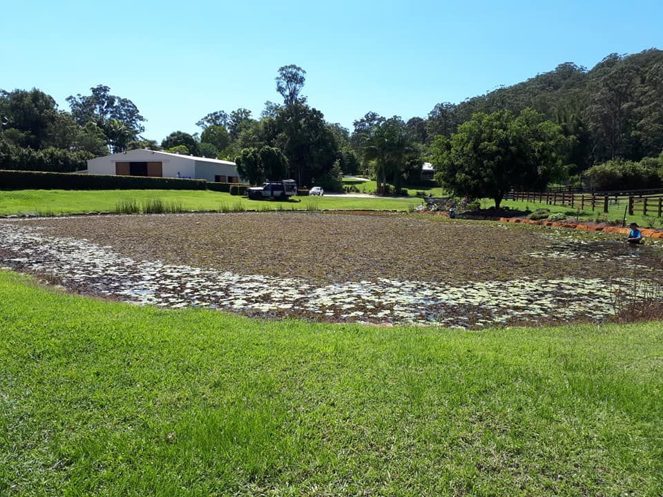 A Small Pond In A Grassy Field With A House In The Background — Dams Cleaned in Sunshine Coast, QLD