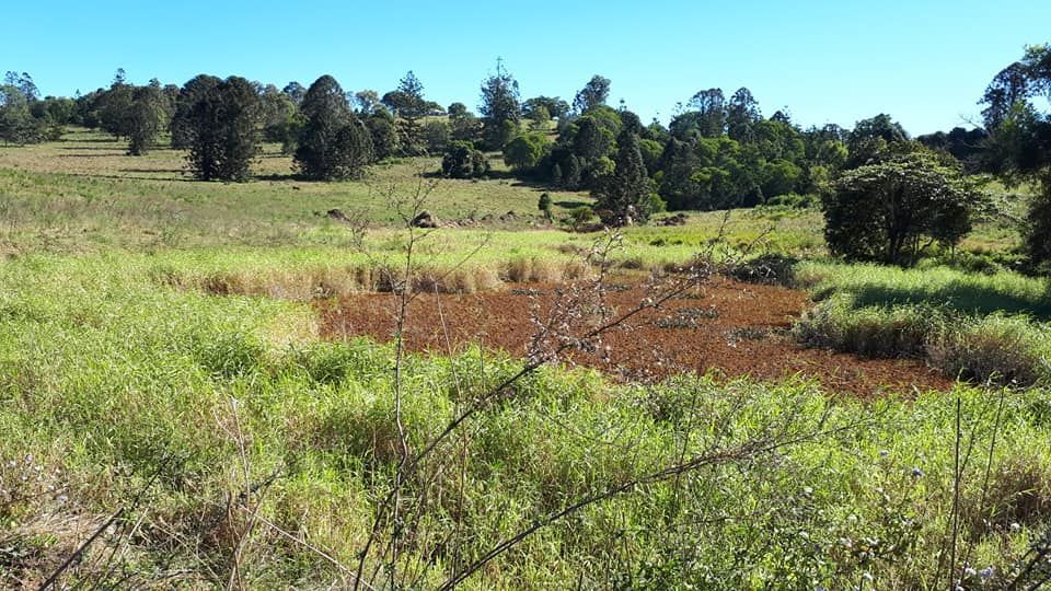 A Lush Green Field With Trees In The Background — Dams Cleaned in Brisbane, QLD