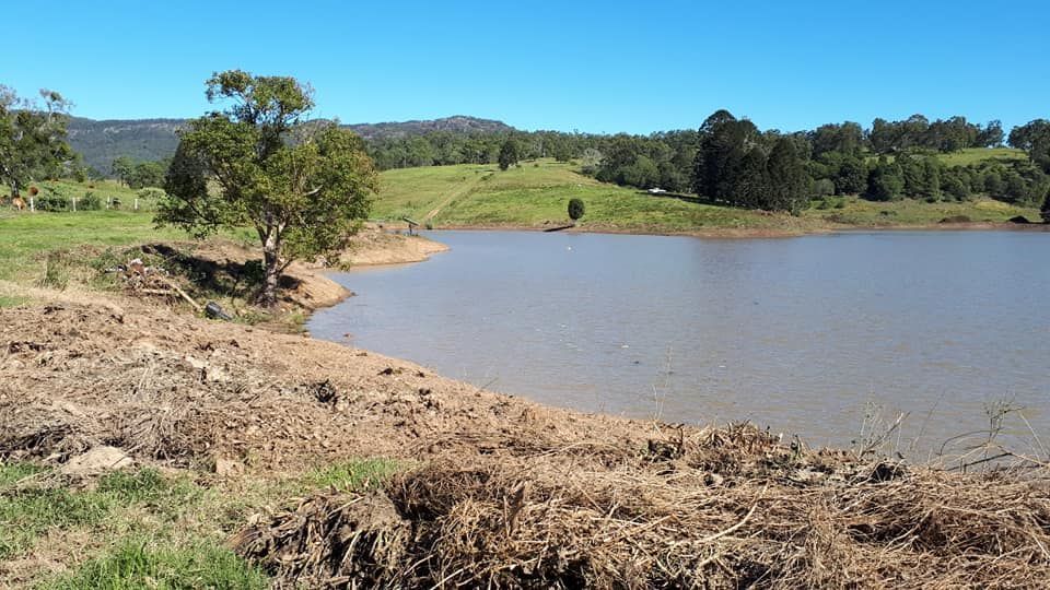 A Large Body Of Water Surrounded By Grass And Trees — Dams Cleaned in Brisbane, QLD
