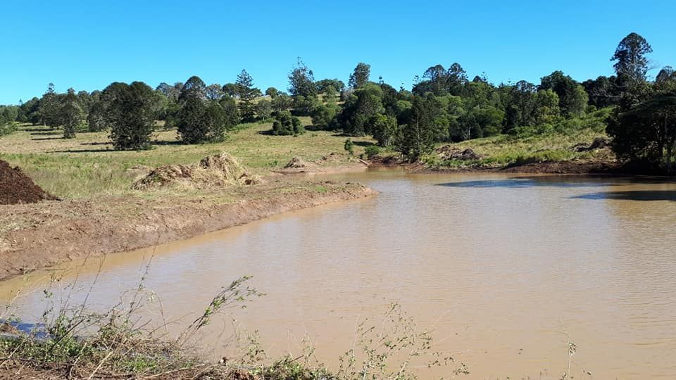 A Large Body Of Water Surrounded By Trees And Grass — Dams Cleaned in Brisbane, QLD