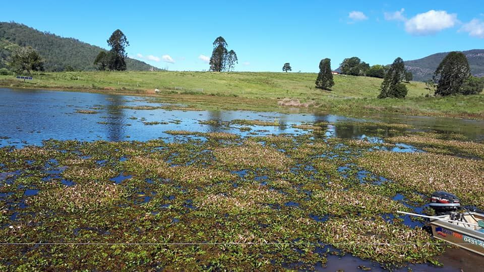 A Boat Is In The Middle Of A Swamp With Trees In The Background — Dams Cleaned in Sunshine Coast, QLD
