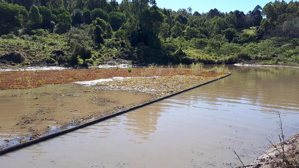 There Is A Large Body Of Water In The Middle Of A Forest — Dams Cleaned in Mudjimba, QLD