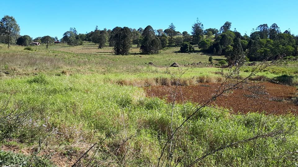 A Grassy Field With Trees In The Background On A Sunny Day — Dams Cleaned in Mudjimba, QLD
