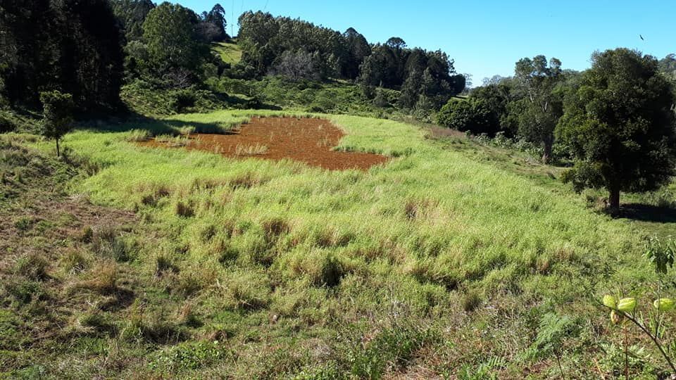 A Lush Green Field With Trees In The Background — Dams Cleaned in Mudjimba, QLD