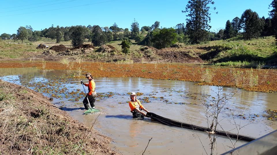 Two Men Are Standing In A Muddy Pond With Trees In The Background — Dams Cleaned in Mudjimba, QLD