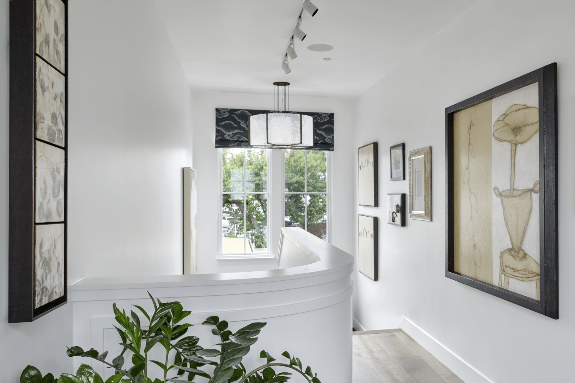 A hallway with a plant and paintings on the wall.