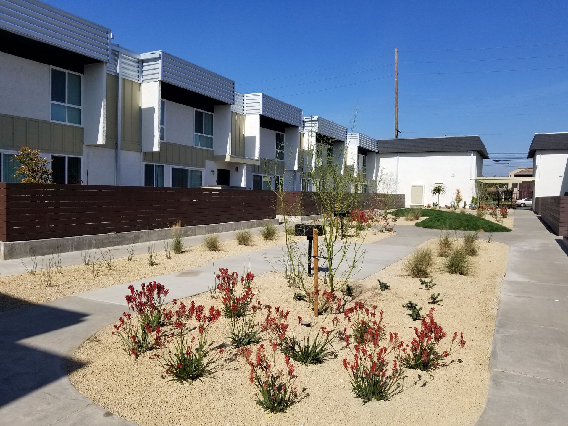 A row of houses with flowers in front of them