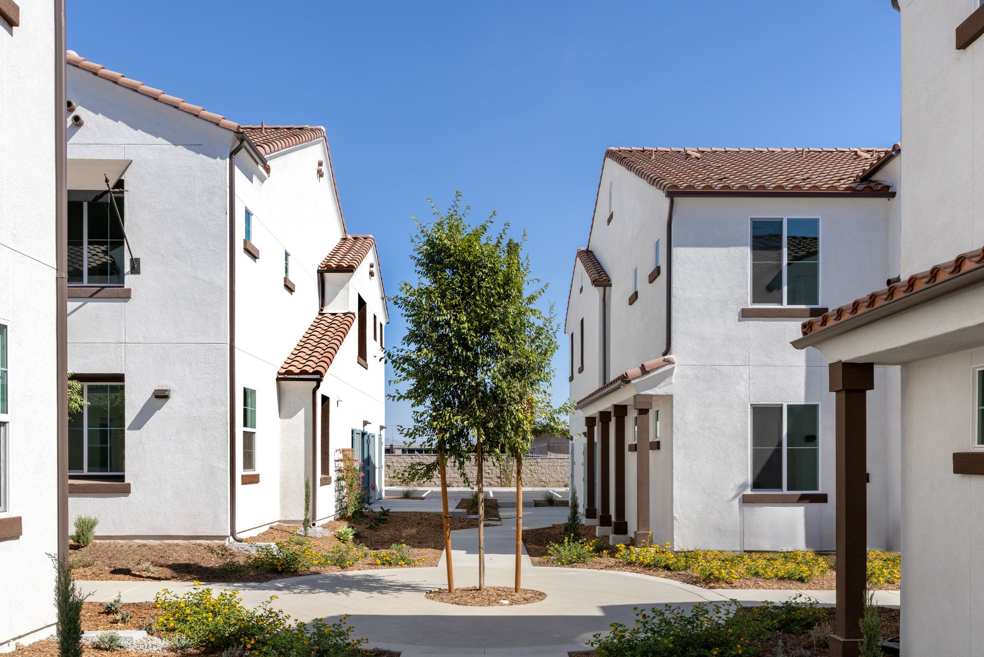 A row of white houses with a tree in the middle