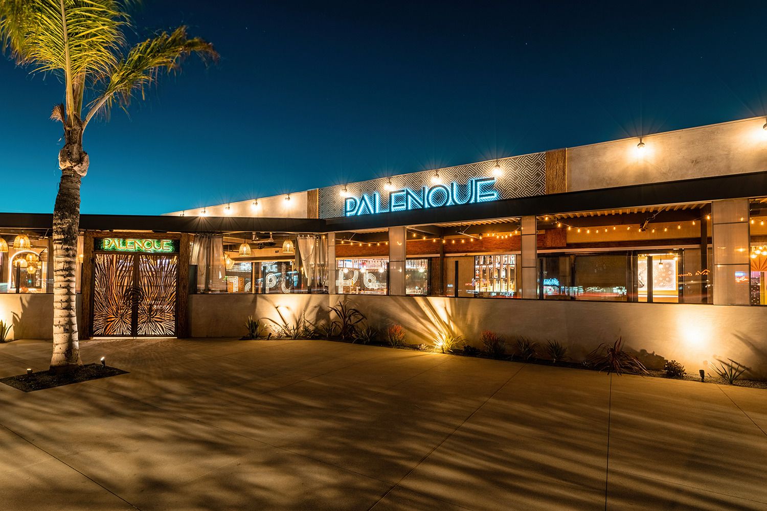 A large building with a palm tree in front of it is lit up at night.