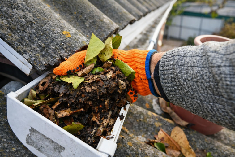 Gloved hand lifting leaves from a rooftop gutter into a white tray