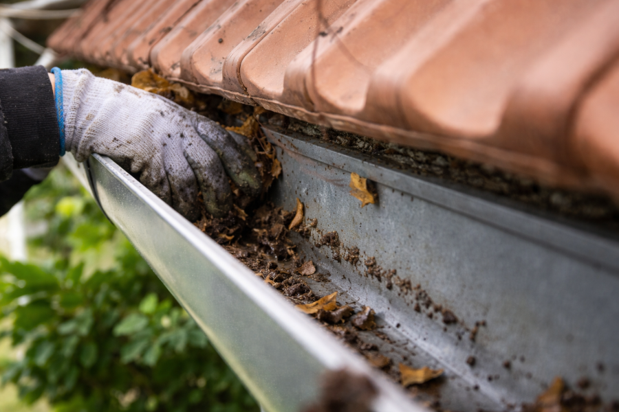 Gloved hand cleaning debris from a roof gutter beside brown shingles