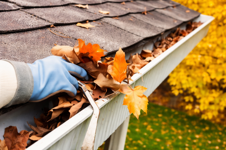 Gloved hand cleaning autumn leaves from a roof gutter beside brown shingles