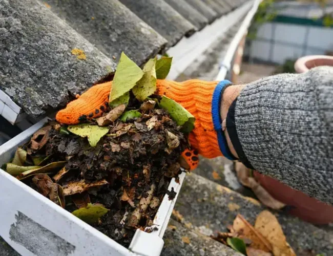 Gloved hand lifting leaves from a rooftop gutter into a white tray