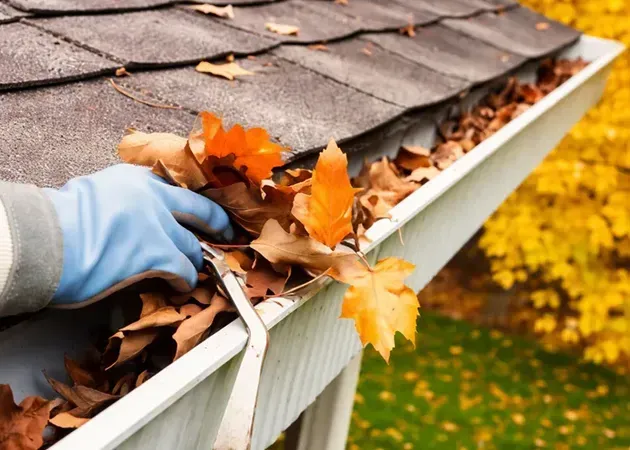 Gloved hand clearing autumn leaves from a house gutter near a shingled roof