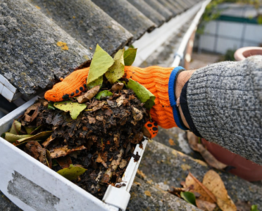 Gloved hand removing leaves and debris from a clogged roof gutter