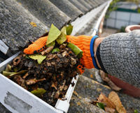 Gloved hand removing leaves and debris from a clogged roof gutter