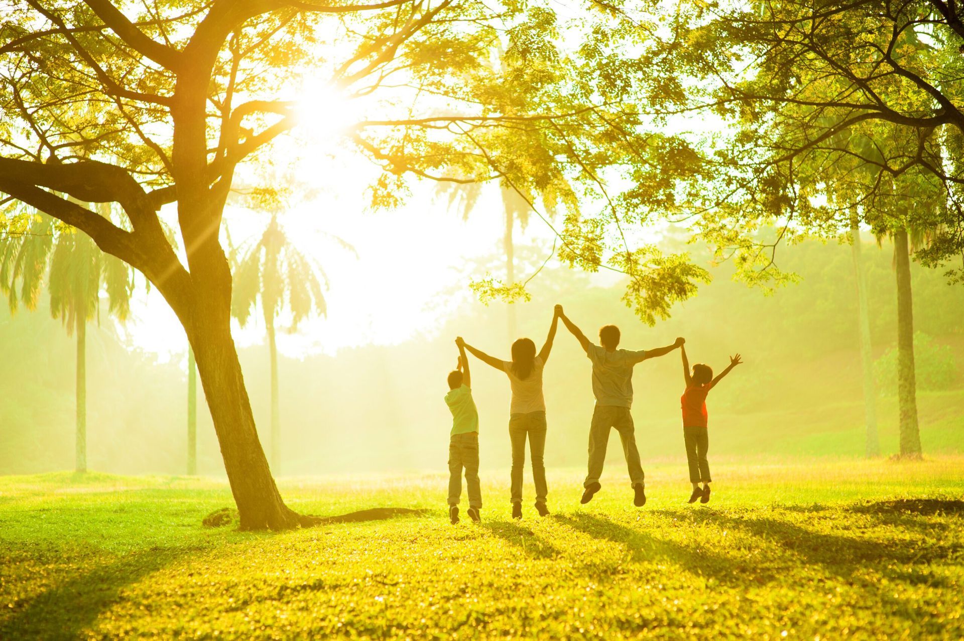 Rear view of joyful happy family jumping together at outdoor park