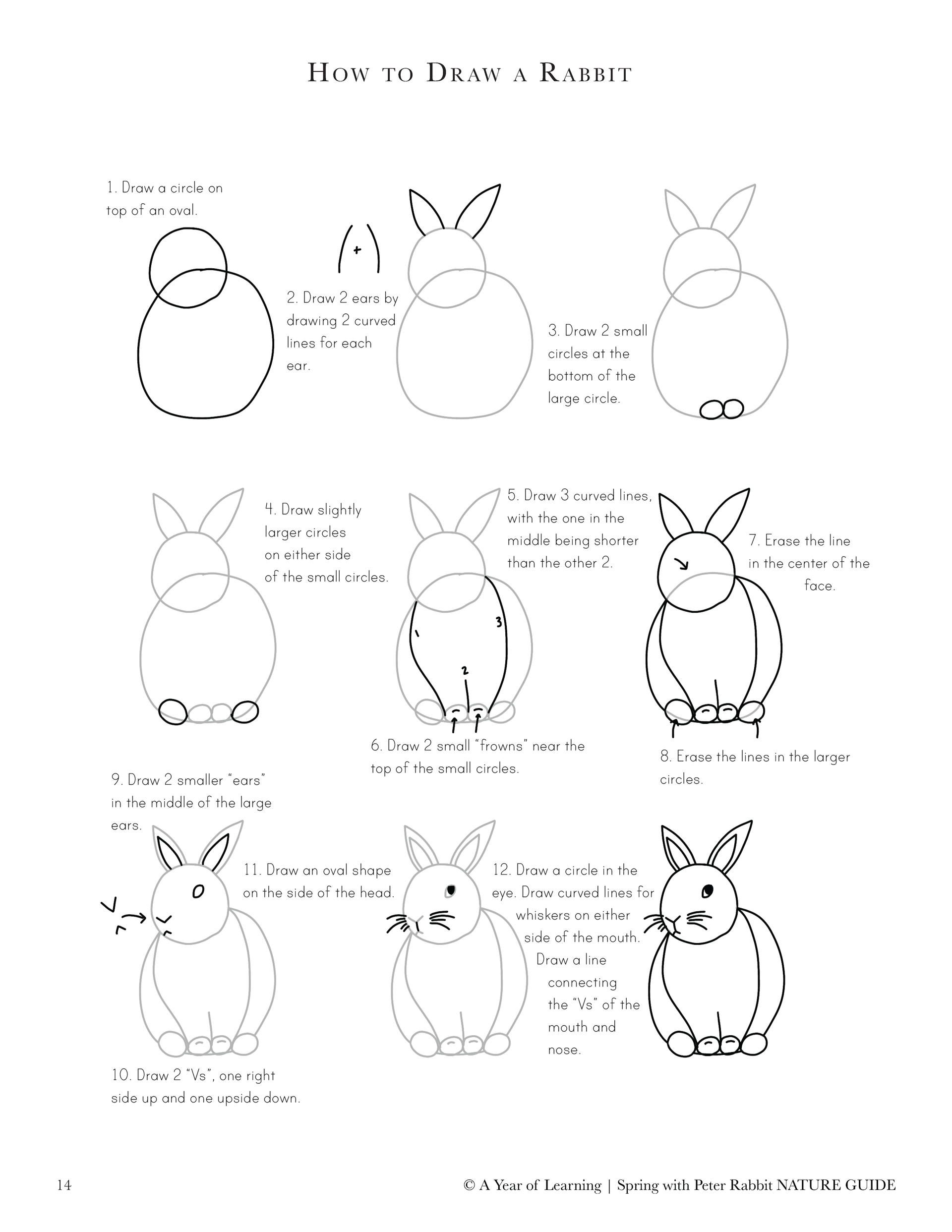Peter Rabbit Drawings Spring Spring with Peter Rabbit