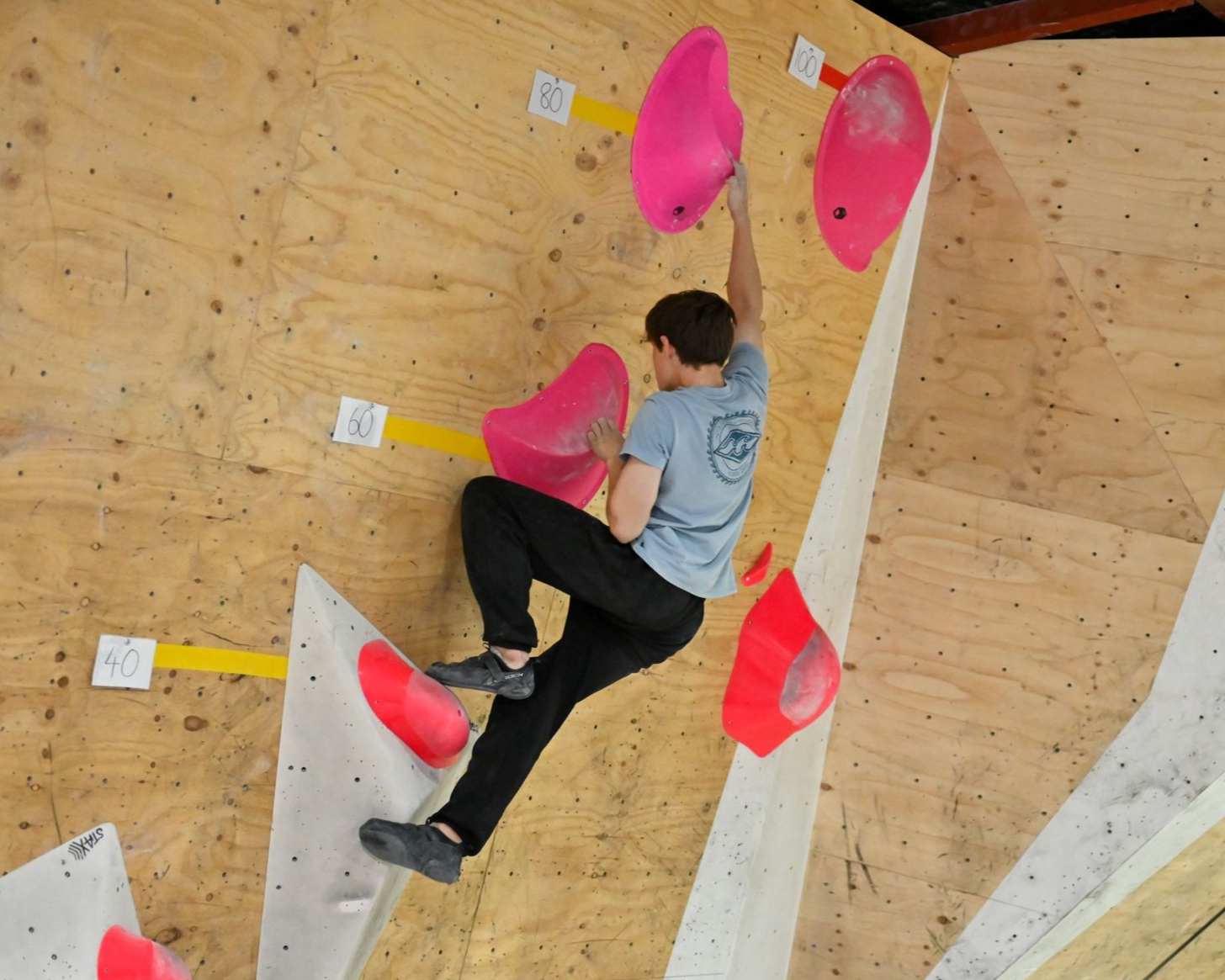 A person rock climbing on a wooden wall with pink and red holds.