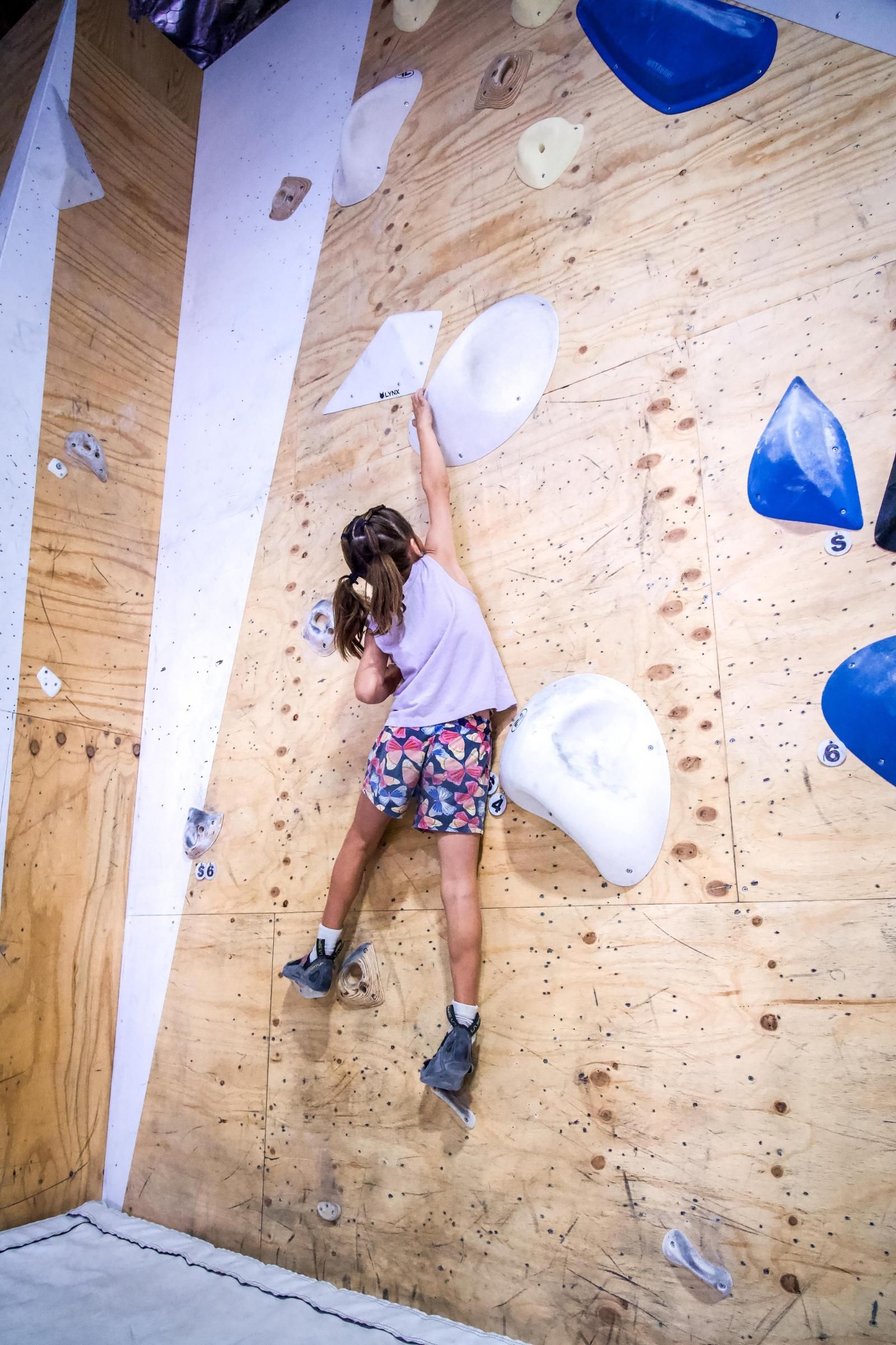 Person climbing a wooden indoor rock wall with blue and white handholds.