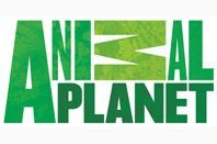 Animal Planet