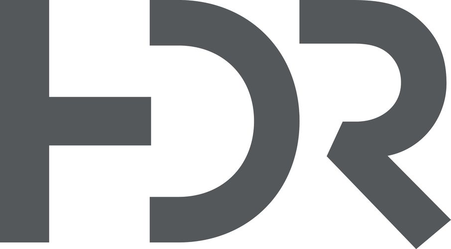 Stylized gray letters “FDR” on a white background