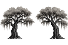 Two black-and-white oak trees with hanging moss on a white background