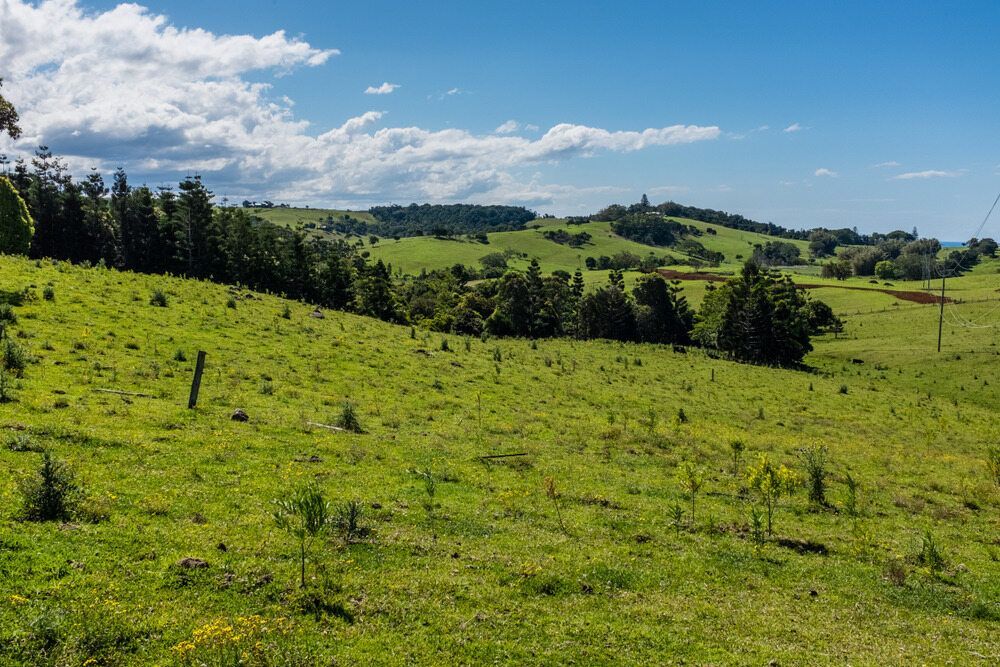 A Field With Trees in the Background— Hastings Scrap Metal Recyclers in Kew, NSW