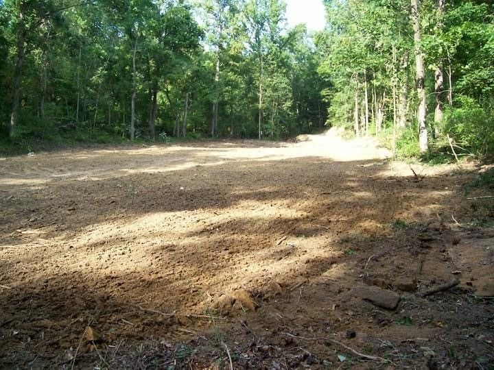 Land Clearing